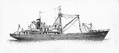 1941 - Rostro